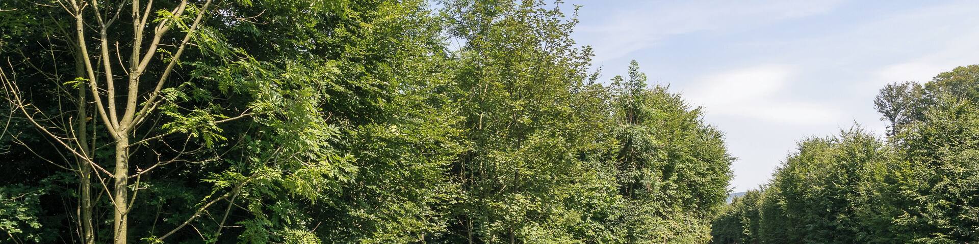 Naturschutzgebiet "Hummerbachtal", Extertal, Kreis Lippe