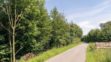 Naturschutzgebiet "Hummerbachtal", Extertal, Kreis Lippe