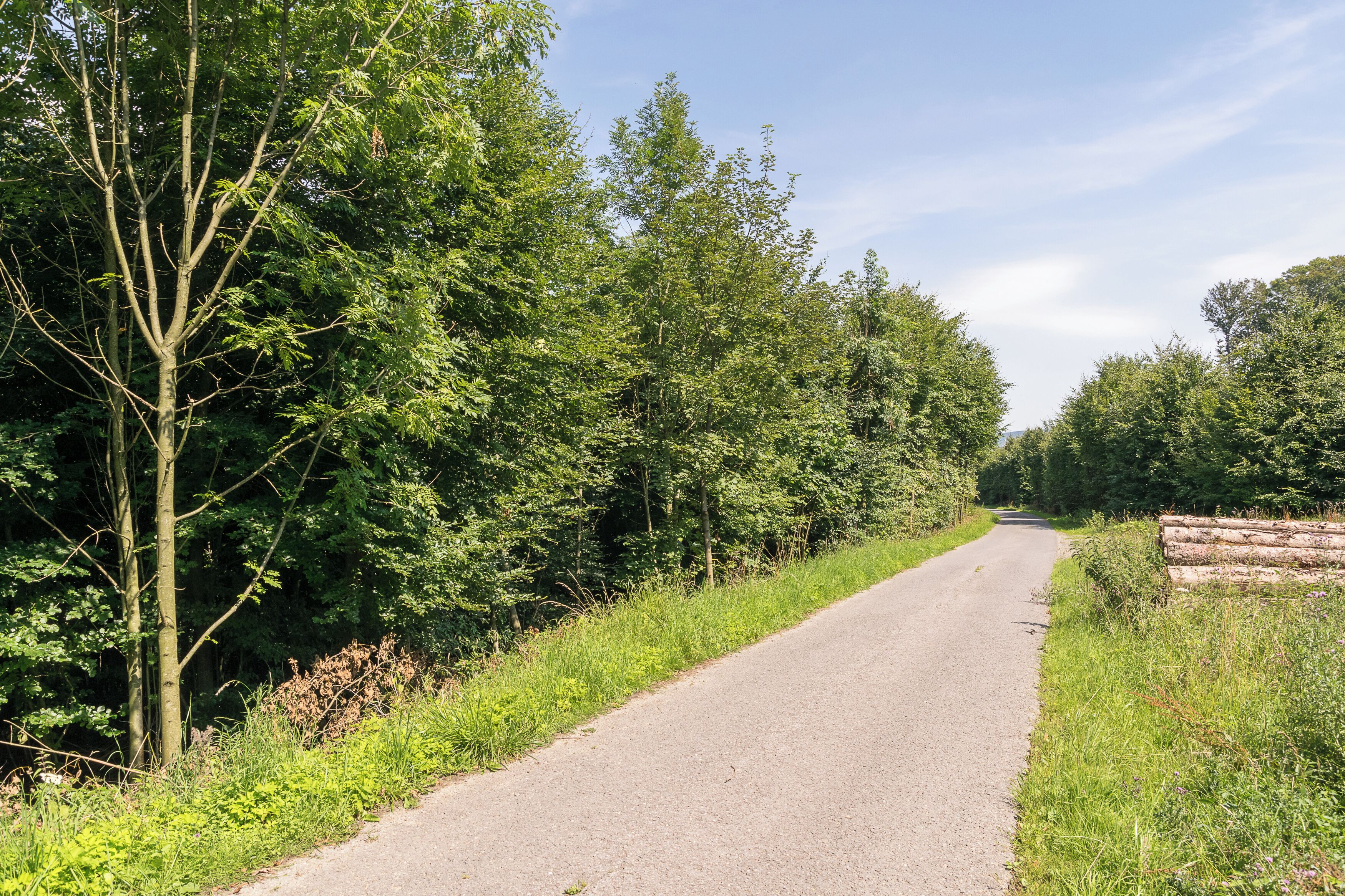 A rural road flanked by dense green trees and grass.