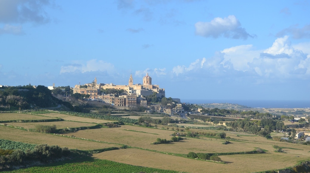 The old medieval walled city of Mdina (Citta notabile) as seen from Ta Virtu in Rabat.
#mdina #rabat #fortification #city #malta #architecture
