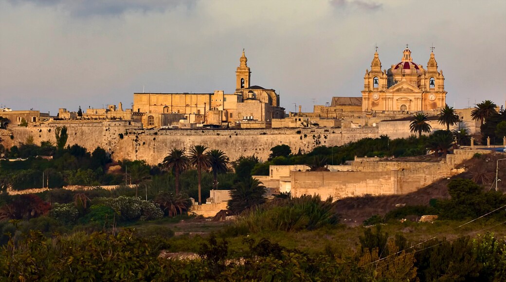 Mdina que incluye un castillo, elementos del patrimonio y patrimonio de arquitectura