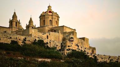 Mdina showing heritage elements, heritage architecture and château or palace