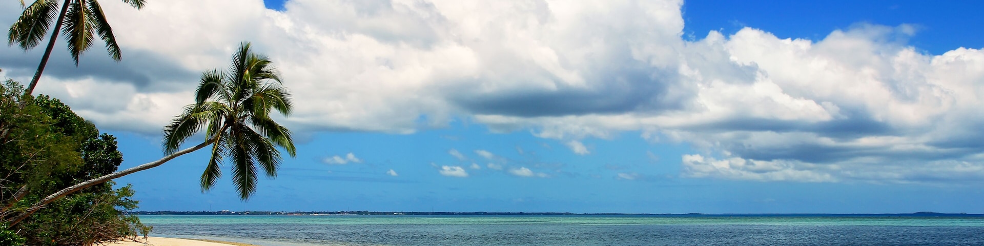 Una playa con palmeras, cielo azul despejado y mar tranquilo.