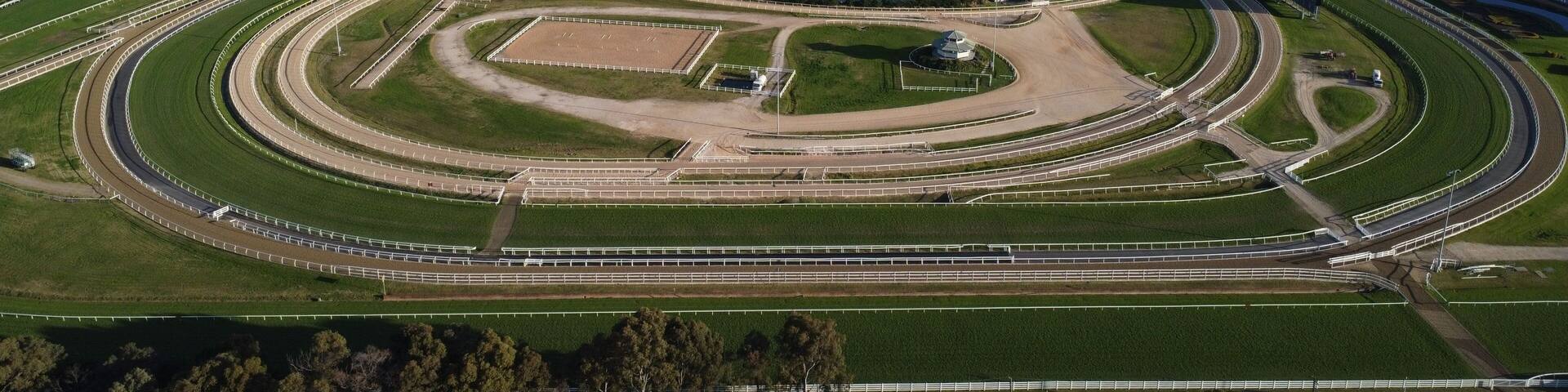 Aerial view of the cityscape of Sydney, Australia