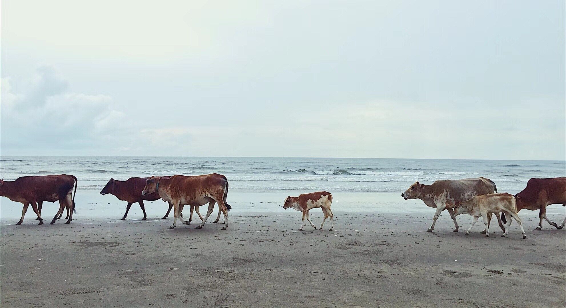 Met some new friends in Sabah, feel the peace between Nature , Animals & Human at this moment #LifeAtExpedia