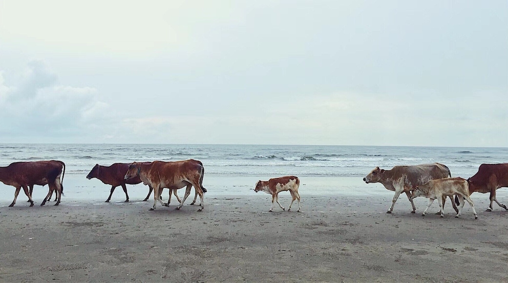 Met some new friends in Sabah, feel the peace between Nature , Animals & Human at this moment #LifeAtExpedia