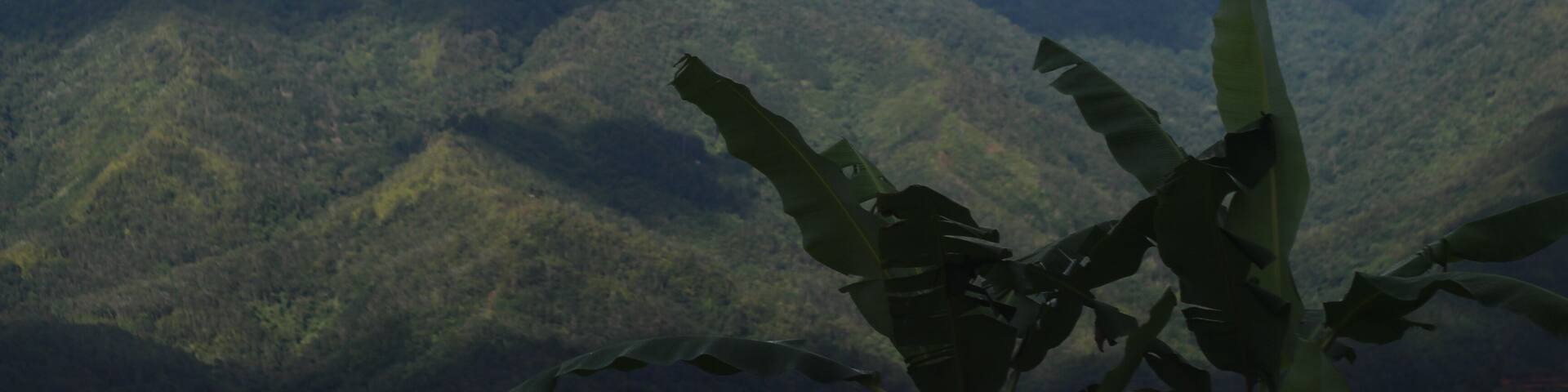 Highlands in Sabah, with the shadows from the clouds caused by the sunlight