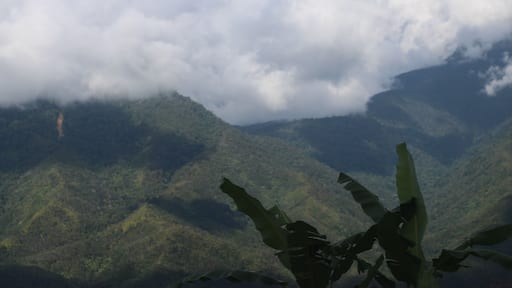Highlands in Sabah, with the shadows from the clouds caused by the sunlight