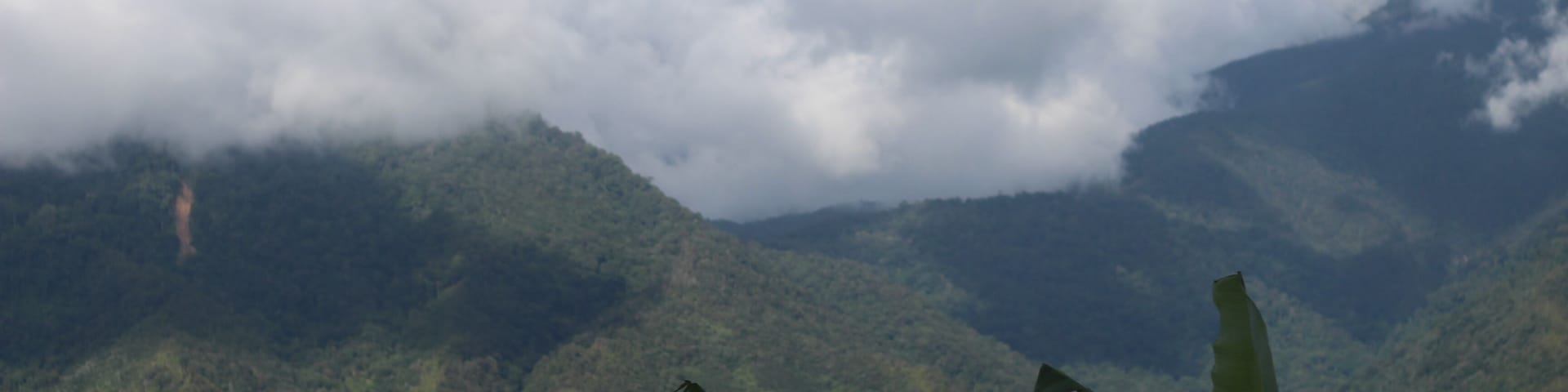 Highlands in Sabah, with the shadows from the clouds caused by the sunlight