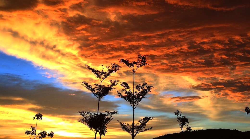 The sundown in downtown of Kota Kinabalu. #Roadtrip #Trover #Sunset