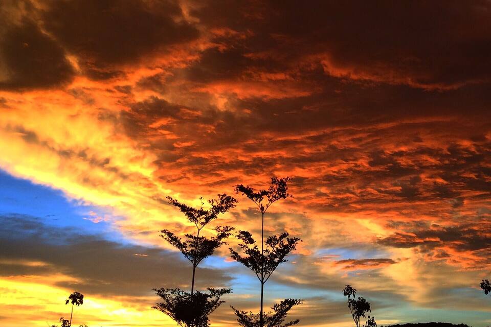 Un capvespre amb un cel espectacular i siluetes d'arbres.