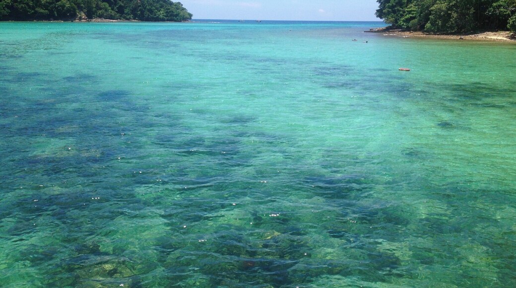 The view from the dock on Pulau Gaya is gorgeous! Part of the marine national park, this island is primarily used for lunch for divers, snorkelers, and other park guests or for hiking/camping. The clear water is beautiful! You can even zipline between the two islands shown in this photo!