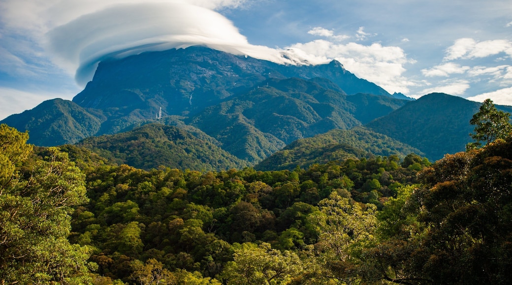 Kota Kinabalu showing mountains, tranquil scenes and landscape views