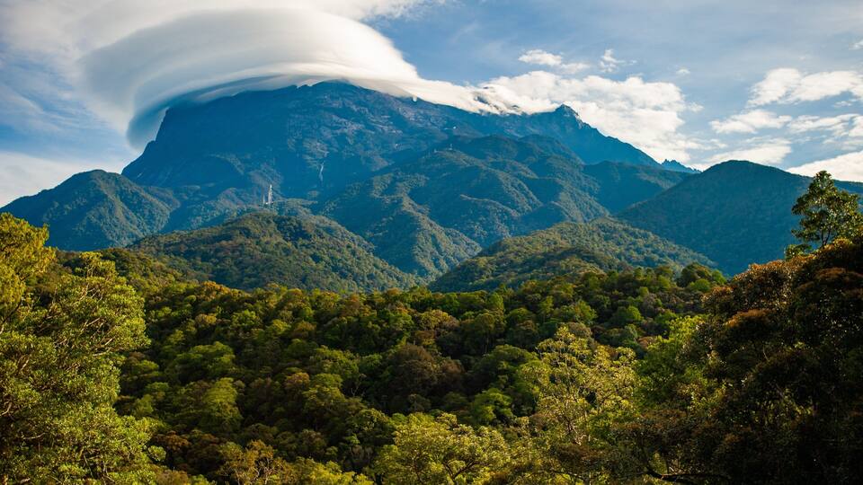 A mountain with a cloud formation, dense forest, and a clear sky.