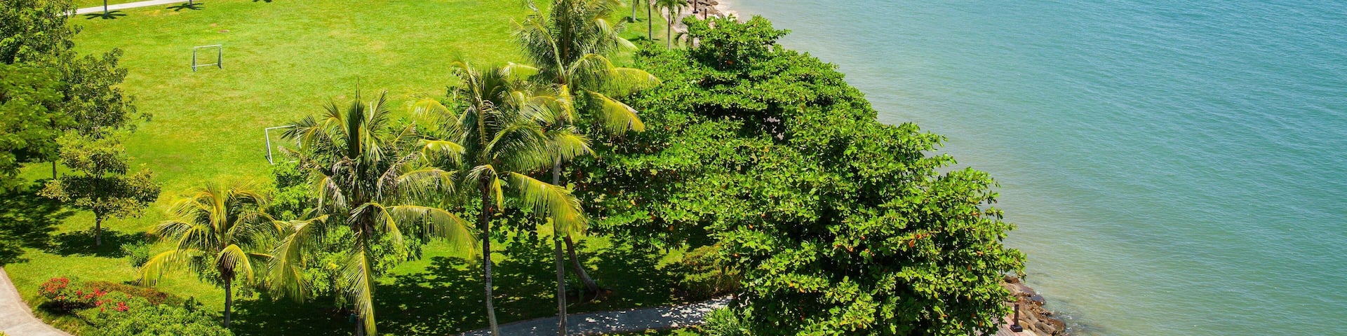 A tropical beach with palm trees, a small island in the distance, and a clear blue sea.