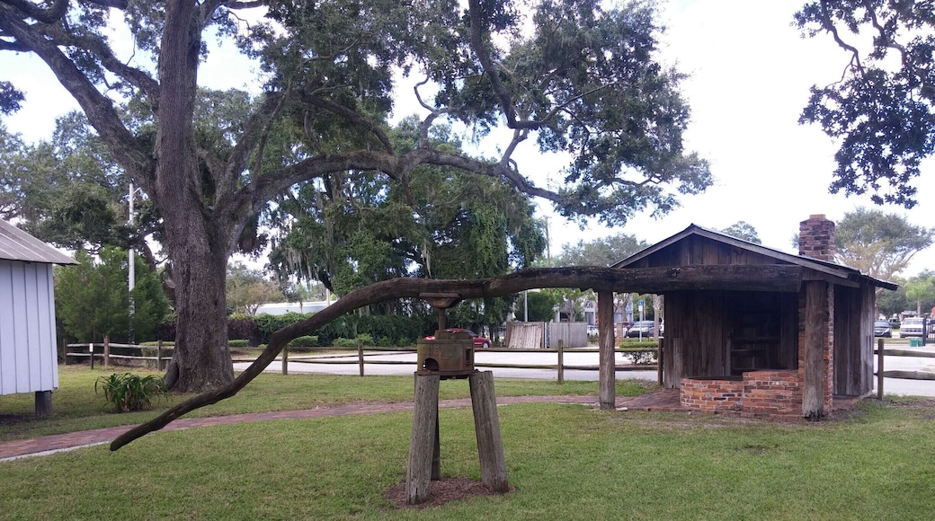 This is a sugar cane mill. The whole sugar canes are inserted in the middle and a donkey or horse is attached to one end of the tree. The animal walks in circles and the canes are run through the press.
The historical park is free and boasts the 1860 Courthouse, the 1887 Church, the One Room Schoolhouse, the Old Settler’s House, the Potter Barn, the Sugar Cane Mill and Smokehouse, the Wiggins Store, a blacksmith shop, a 1913 Baldwin Steam locomotive, the Fogarty Boatworks and a Cowhunter Bunkhouse.