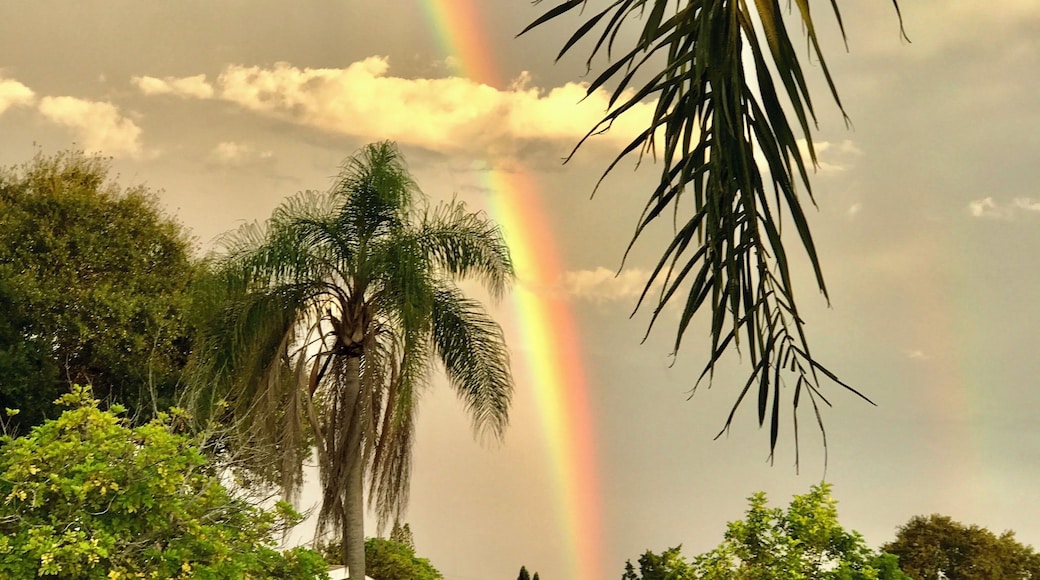 Rainbow after the storm