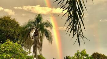 Rainbow after the storm