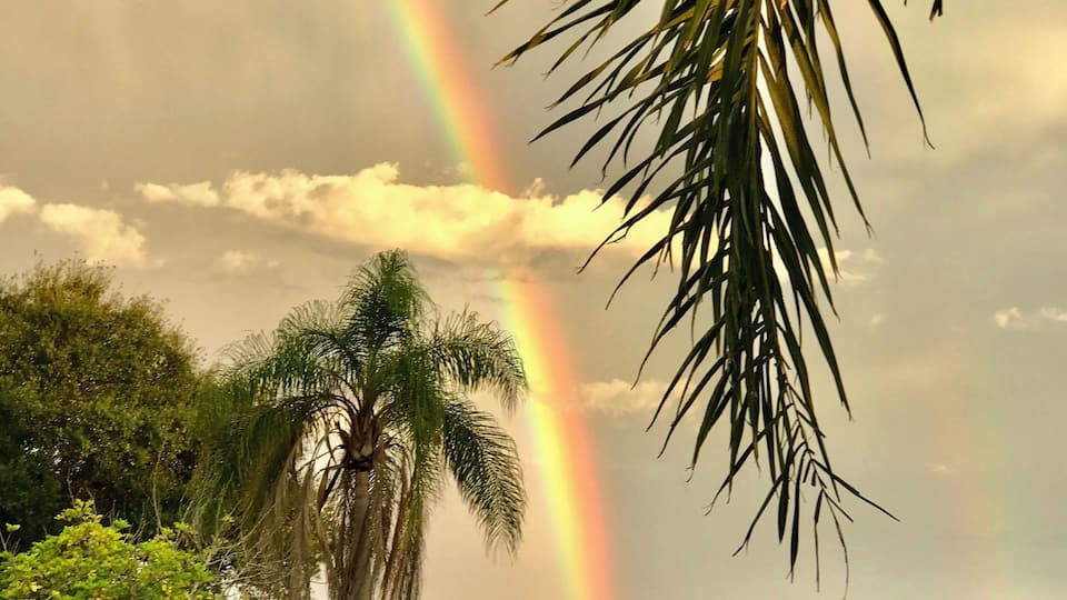 Rainbow after the storm