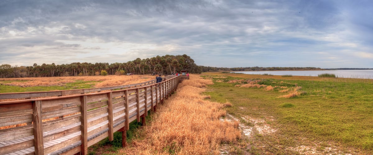 Boardwalk along the wetland and marsh at the Myakka River State Park