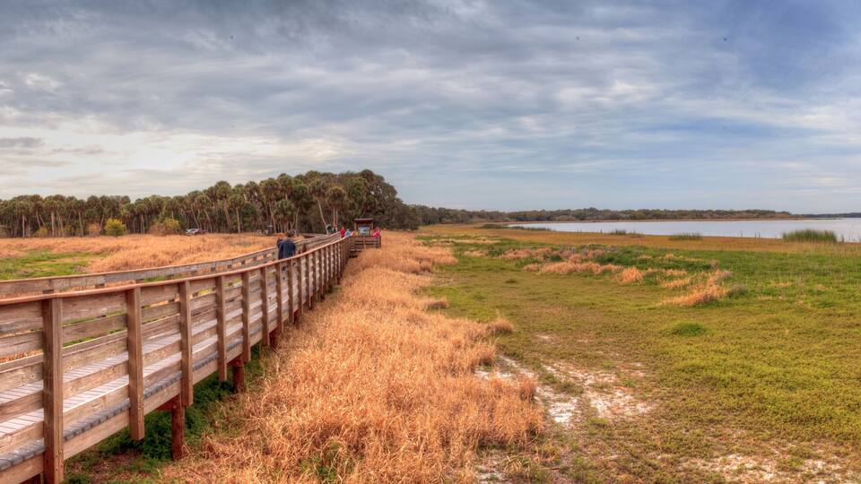 Boardwalk along the wetland and marsh at the Myakka River State Park