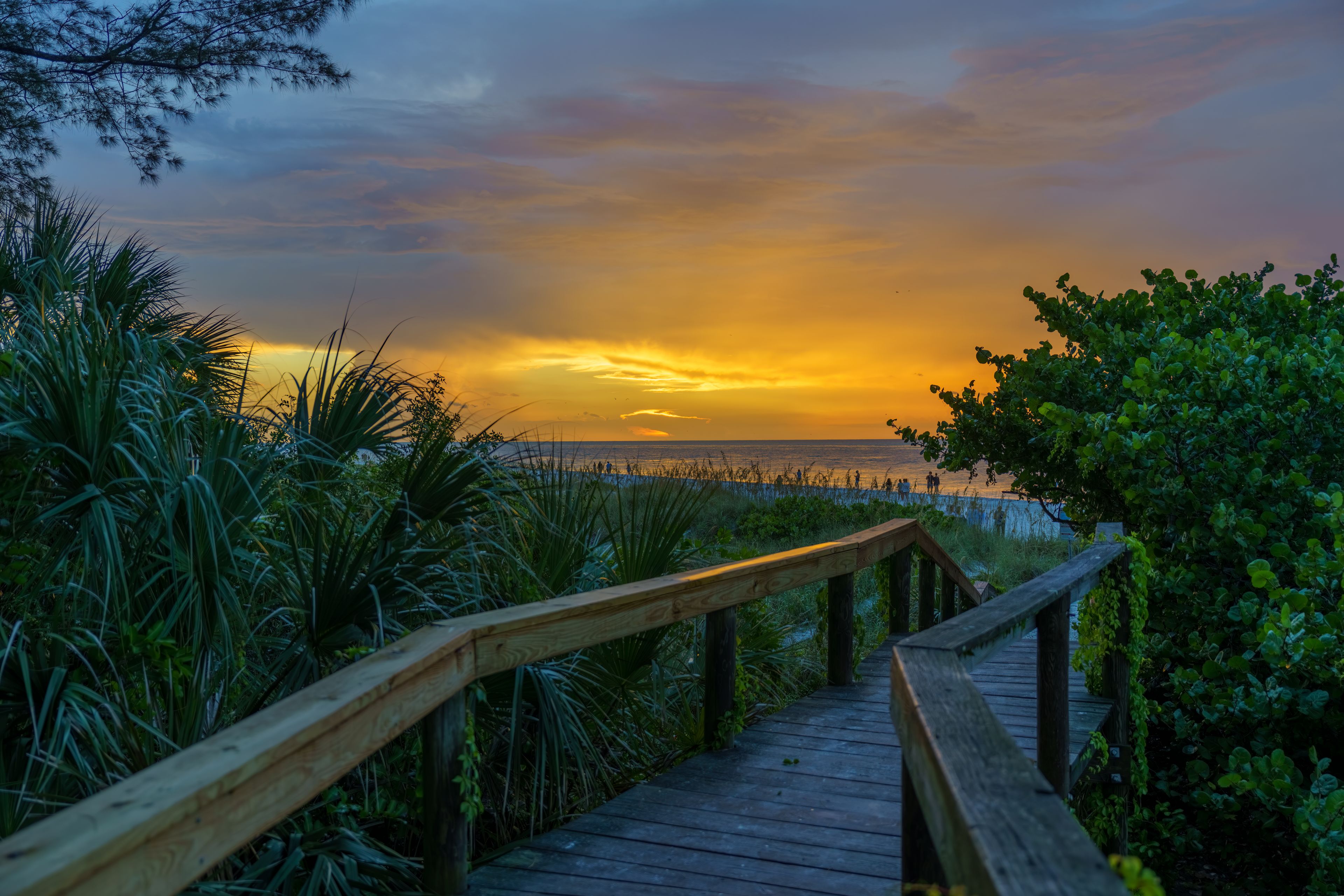 Decks, Docks, and Flip Flops