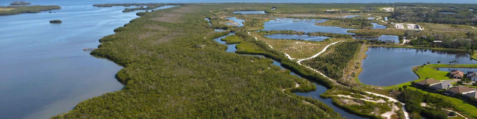 An aerial view of a coastal landscape with a network of water channels, dense green vegetation, and a distant city skyline.