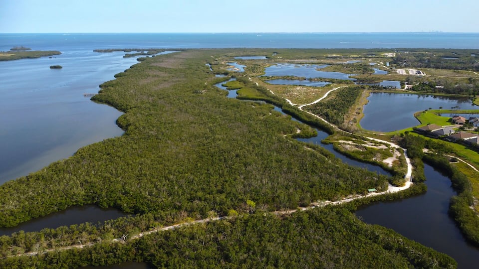 An aerial view of a coastal landscape with a network of water channels, dense green vegetation, and a distant city skyline.