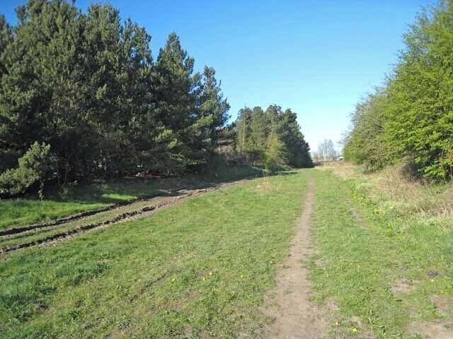 The "Clarence Railway" at Spennymoor The Clarence Railway was constructed 1833-1837 to link the iron ore mines at Shildon to Port Clarence, Middlesbrough. This length of the abandoned line here between Spennymoor and Ferryhill is followed for a short way by a public footpath. Between Spennymoor and Bishop Auckland, the line of the railway is followed by the Auckland Way, a foot- and cycle-path.