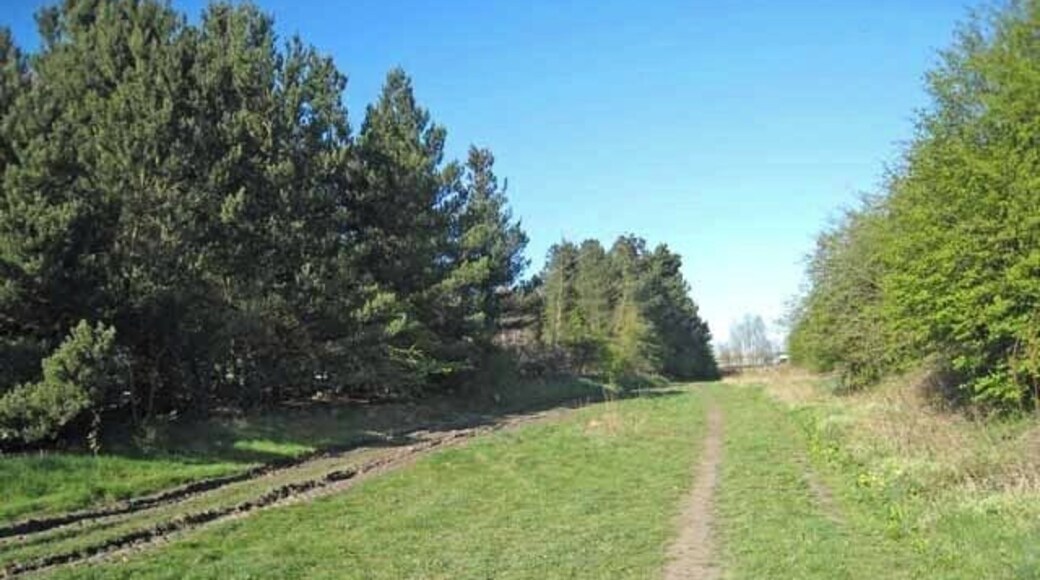 The "Clarence Railway" at Spennymoor The Clarence Railway was constructed 1833-1837 to link the iron ore mines at Shildon to Port Clarence, Middlesbrough. This length of the abandoned line here between Spennymoor and Ferryhill is followed for a short way by a public footpath. Between Spennymoor and Bishop Auckland, the line of the railway is followed by the Auckland Way, a foot- and cycle-path.