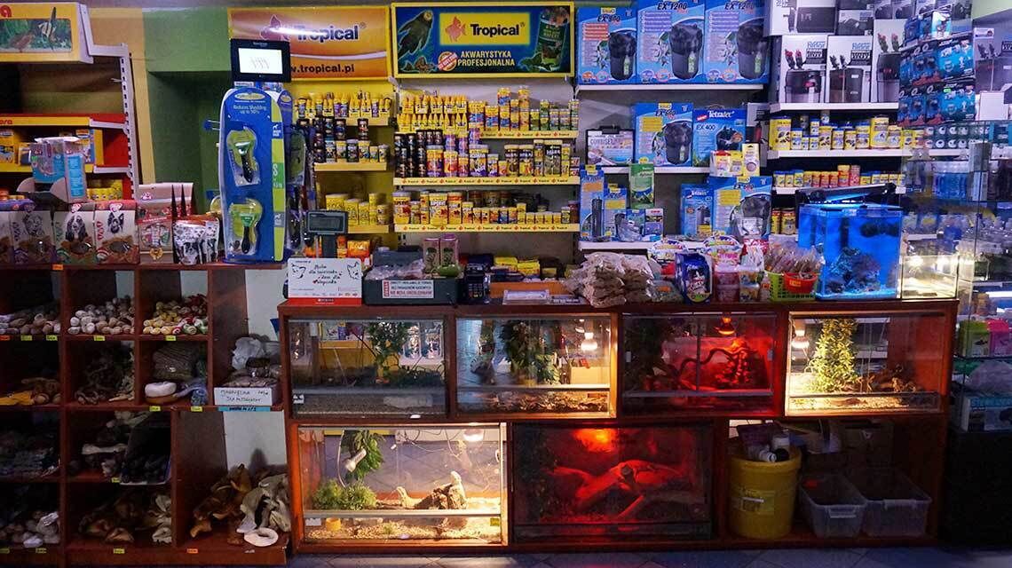 Discus pet Shop http://www.discusraciborz.pl/