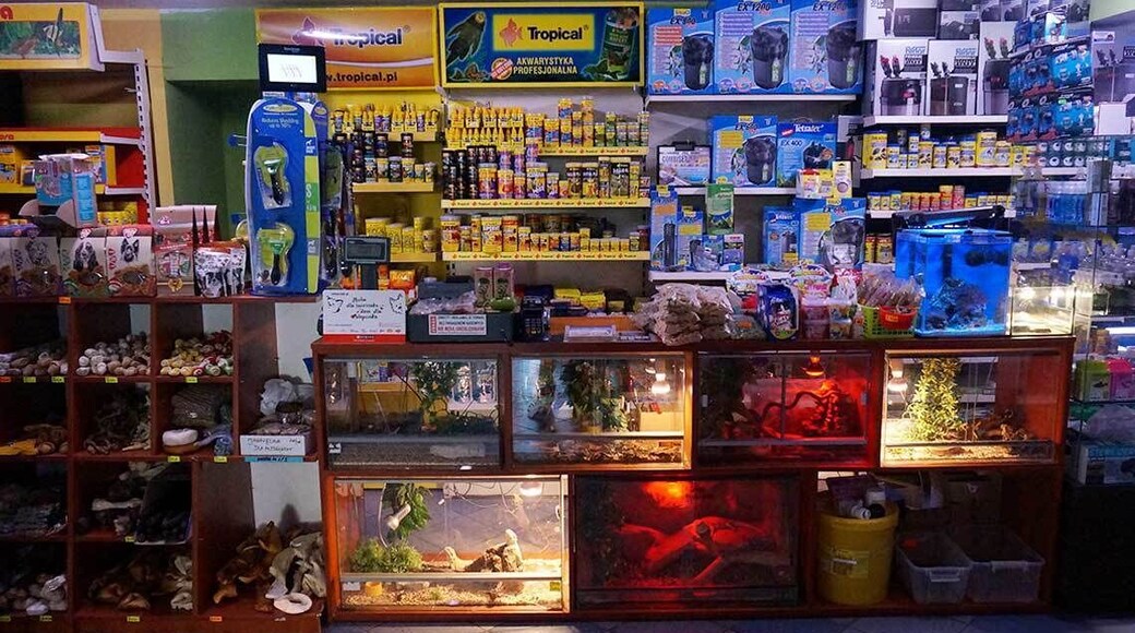 Discus pet Shop http://www.discusraciborz.pl/