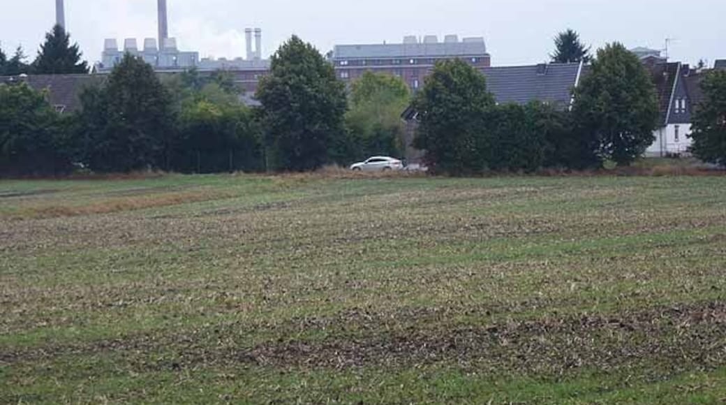 Agriculture and industry