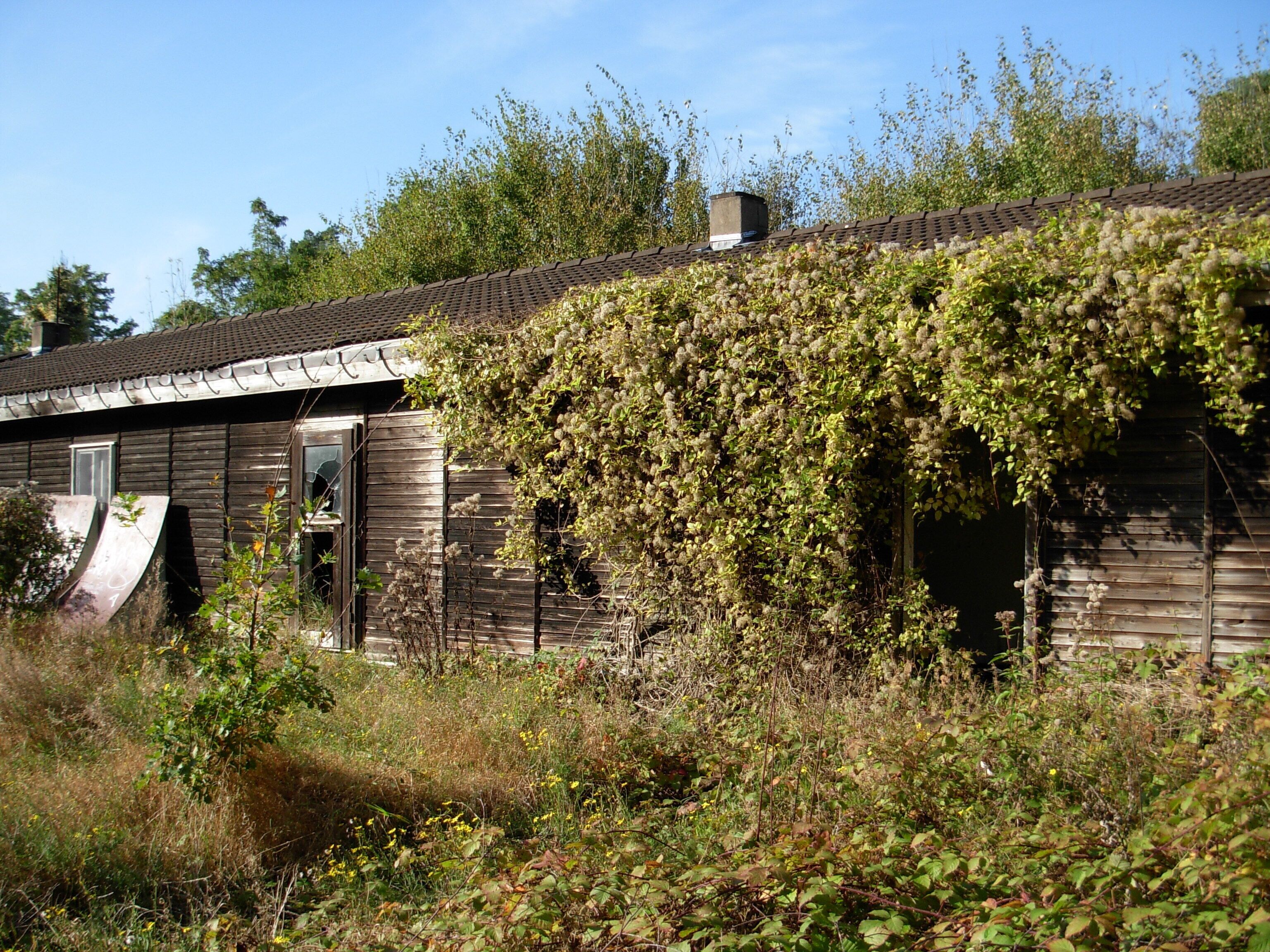 Verlassenes und bewachsenes Gebäude