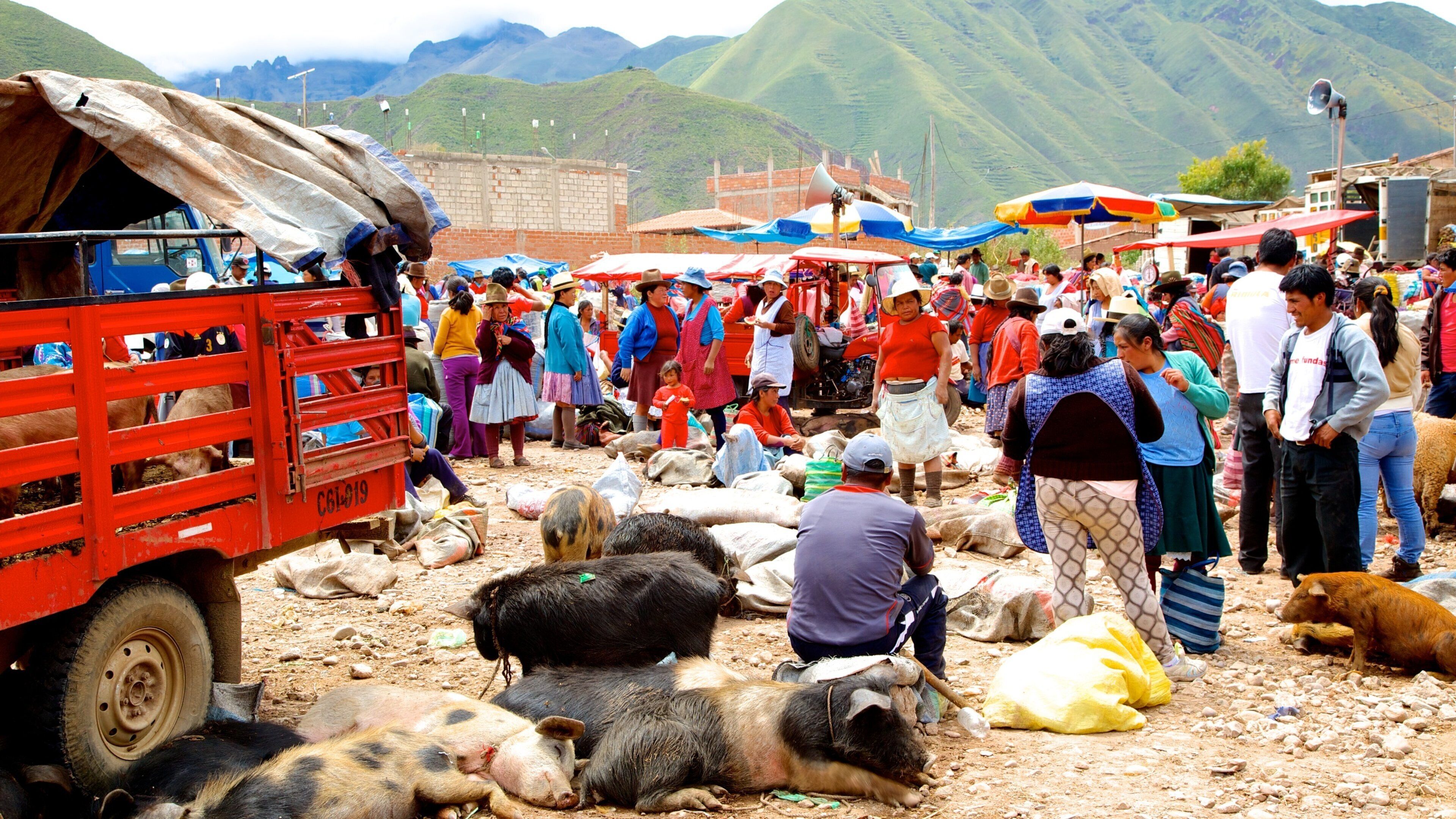 印加聖谷 呈现出 市場 和 動物 以及 一大群人