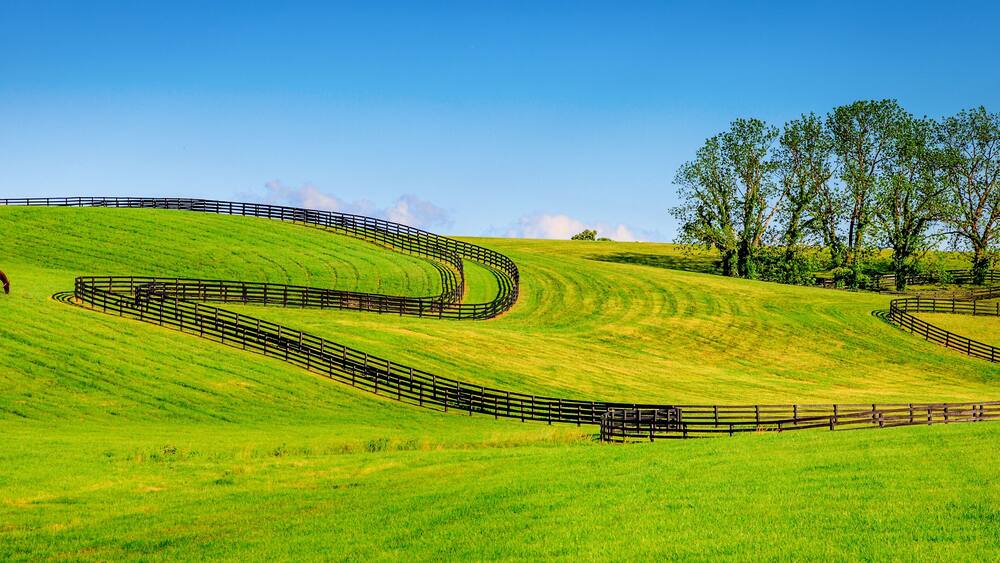 Horse farm fences