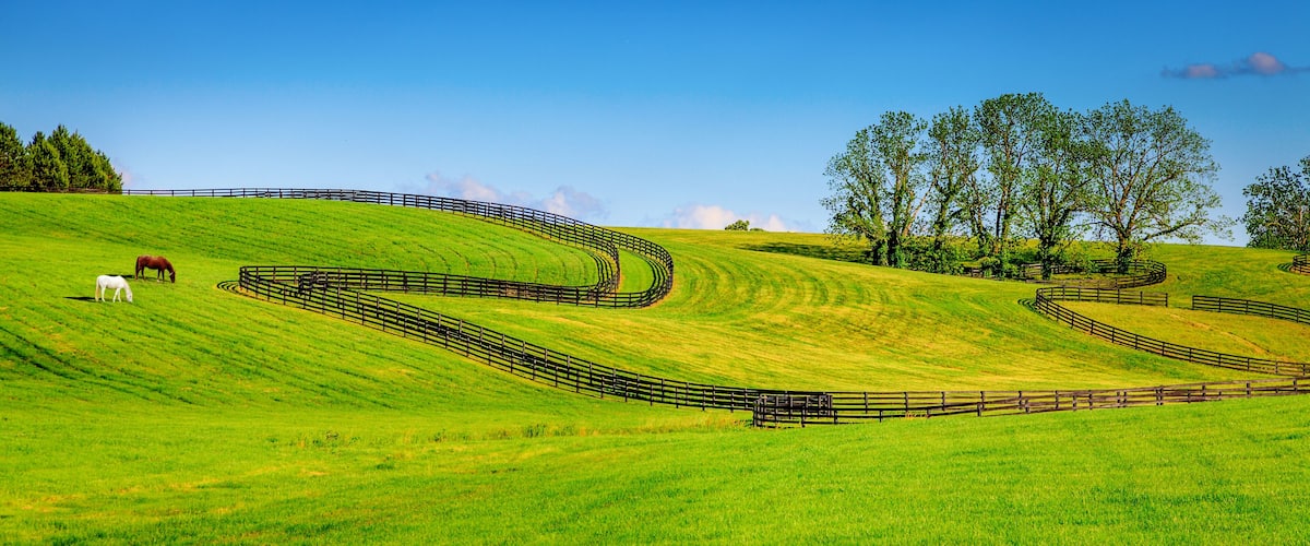 Horse farm fences