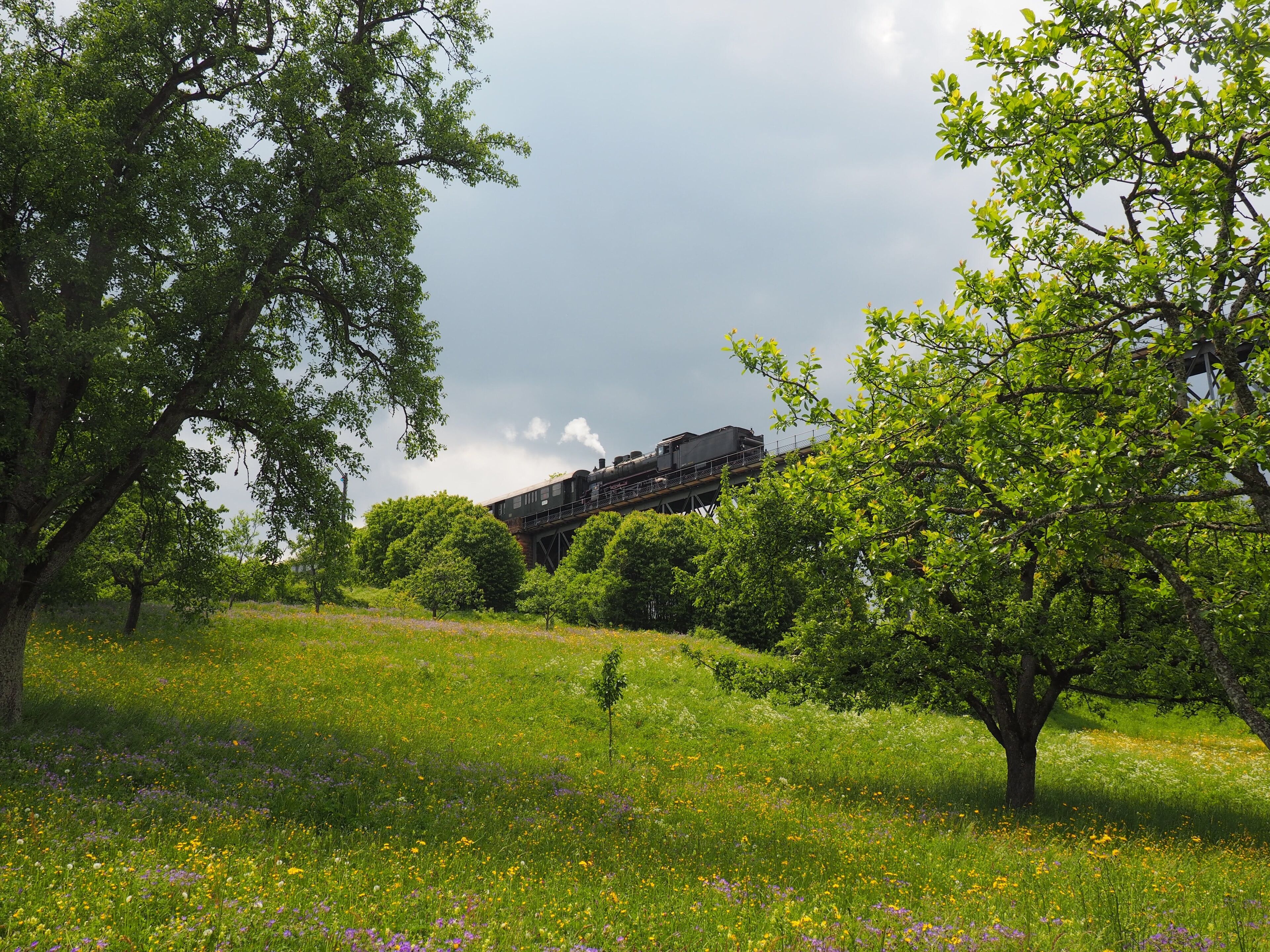 P8 2455 about to cross the Epfenhofener Viadukt.