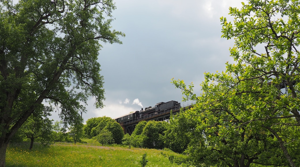 P8 2455 about to cross the Epfenhofener Viadukt.