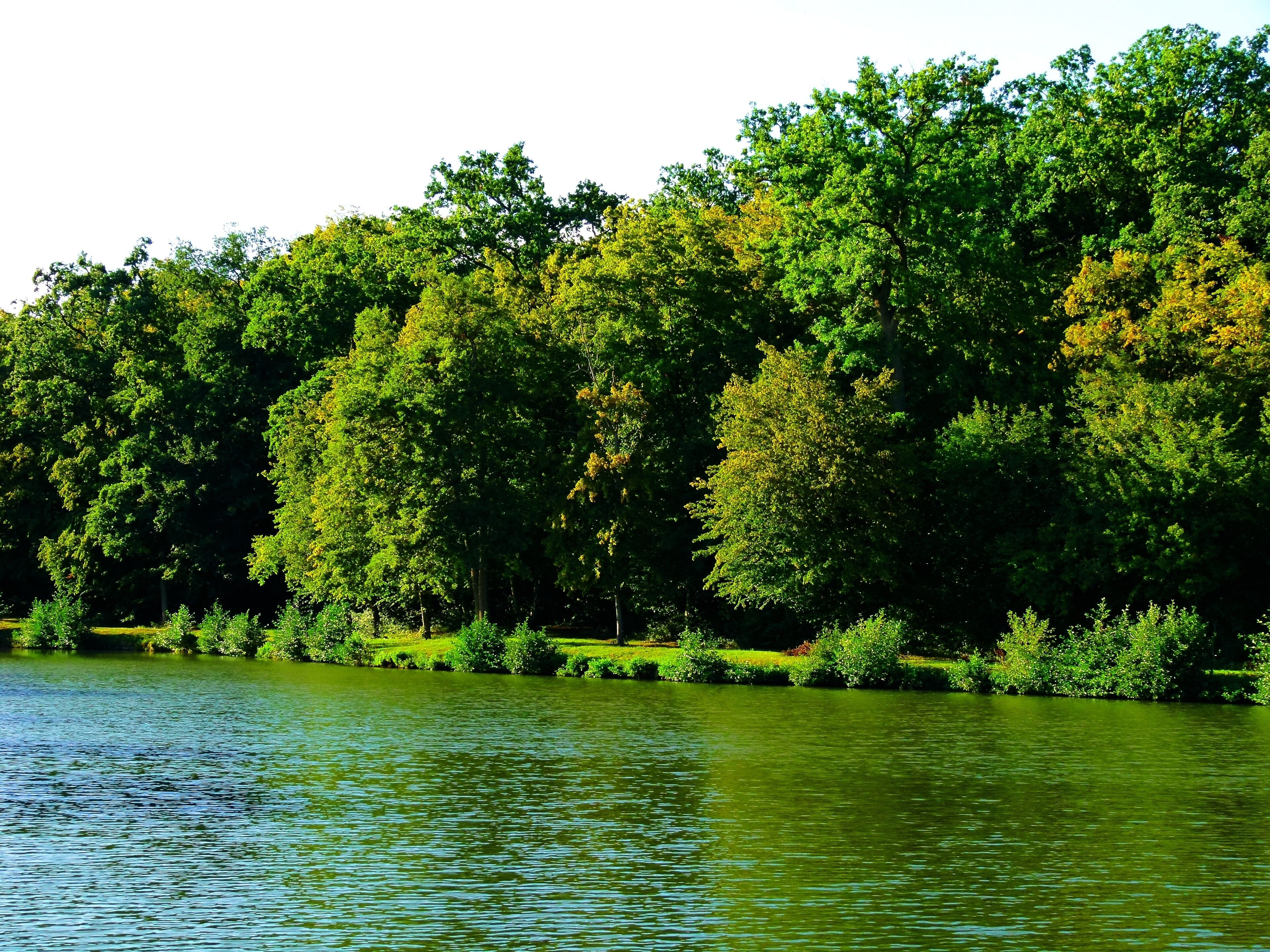 This Side Was From The Other Side