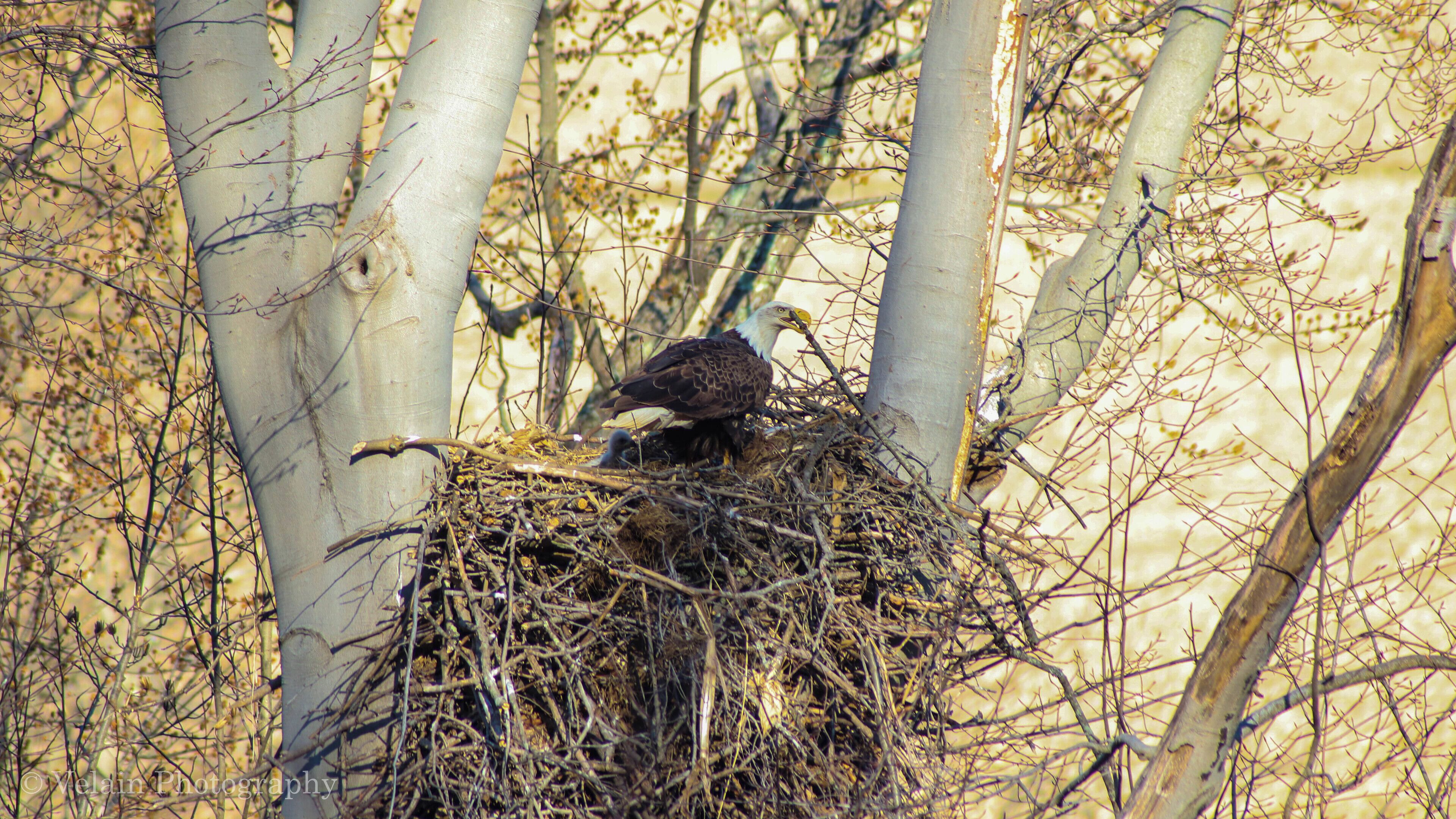 This stick is just not in the right place. 