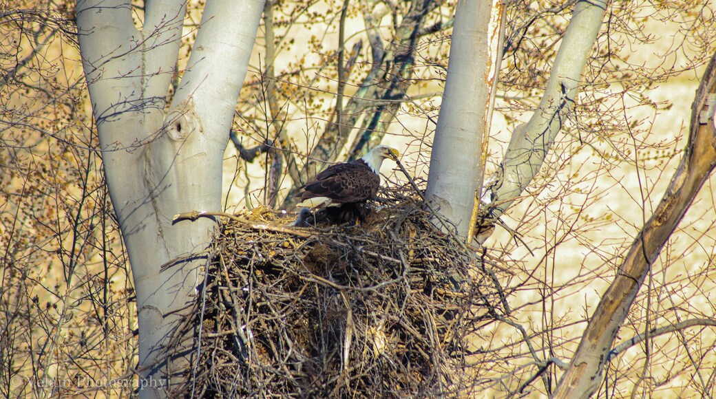 This stick is just not in the right place.