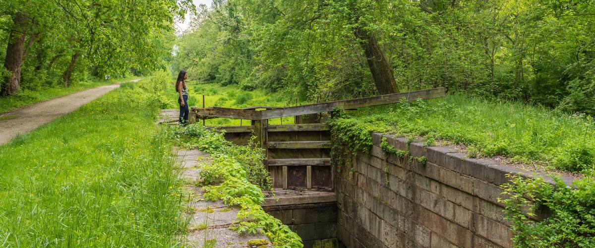 A narrow stone bridge over a water channel, surrounded by lush greenery and a dirt path.