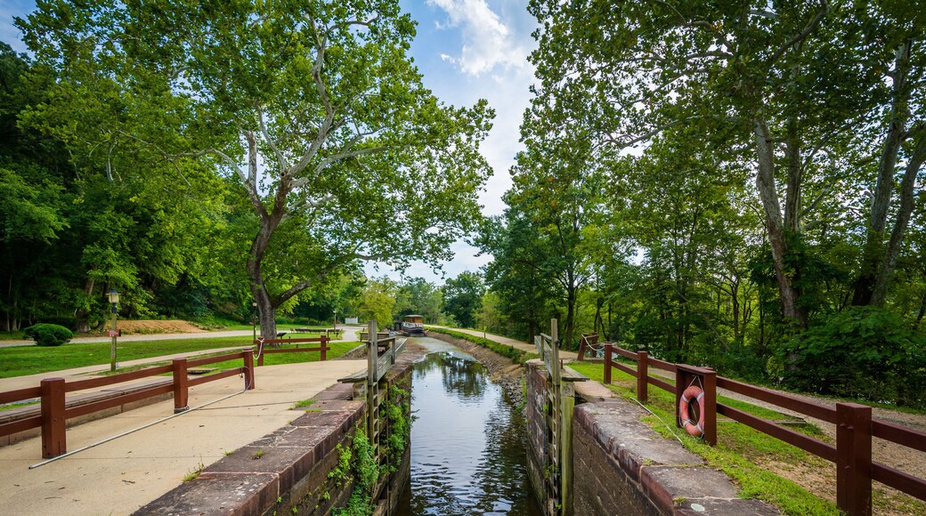 The C & O Canal, at Chesapeake & Ohio Canal National Historical