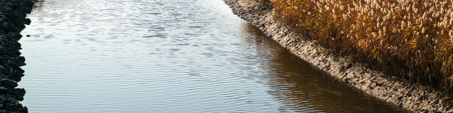 Un río serpenteando a través de un campo de pastos altos.