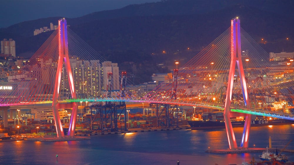 A brightly lit cable-stayed bridge with colorful lights, a cityscape in the background, and a body of water in the foreground.