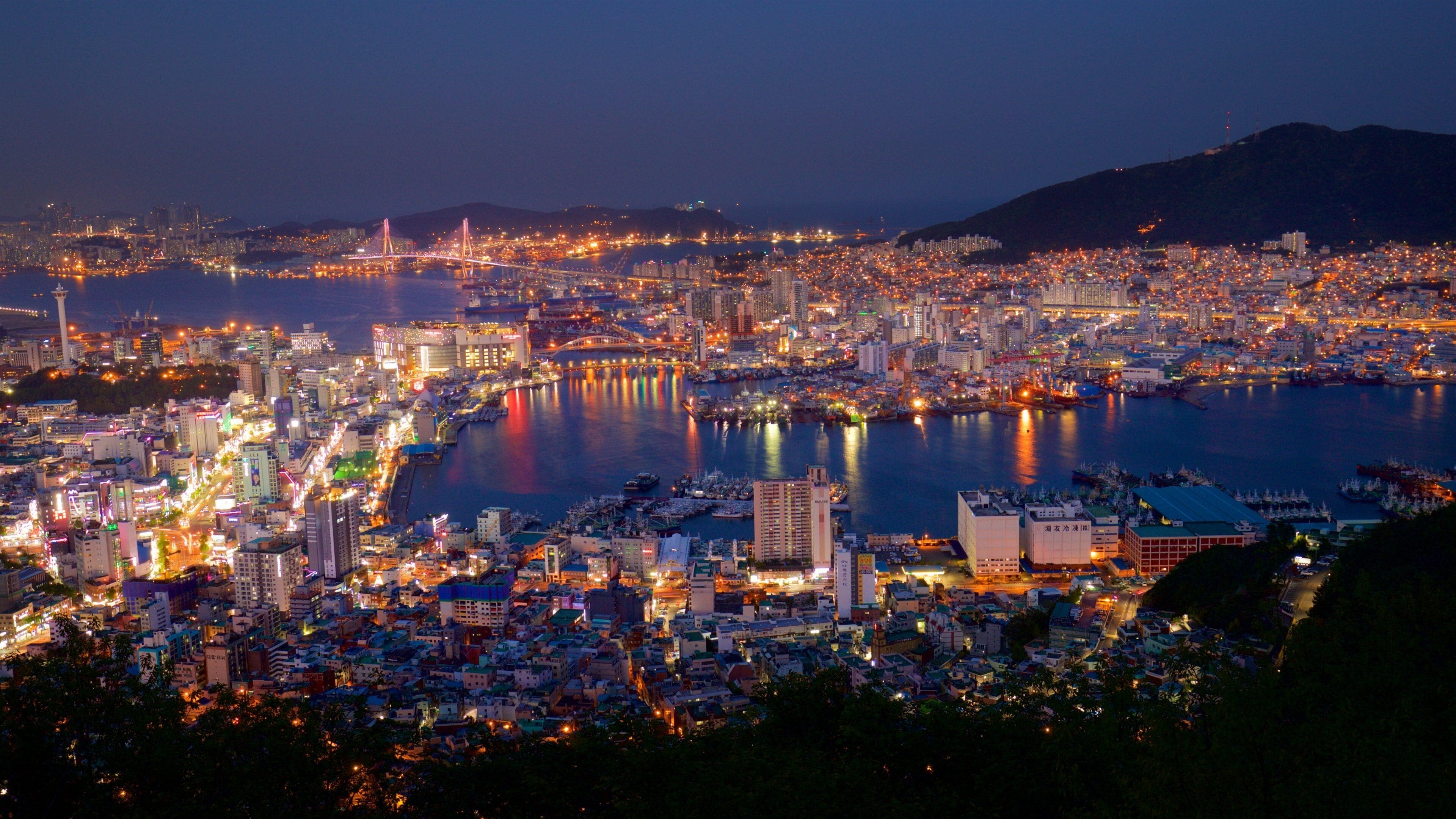 Busan featuring a city, a river or creek and landscape views