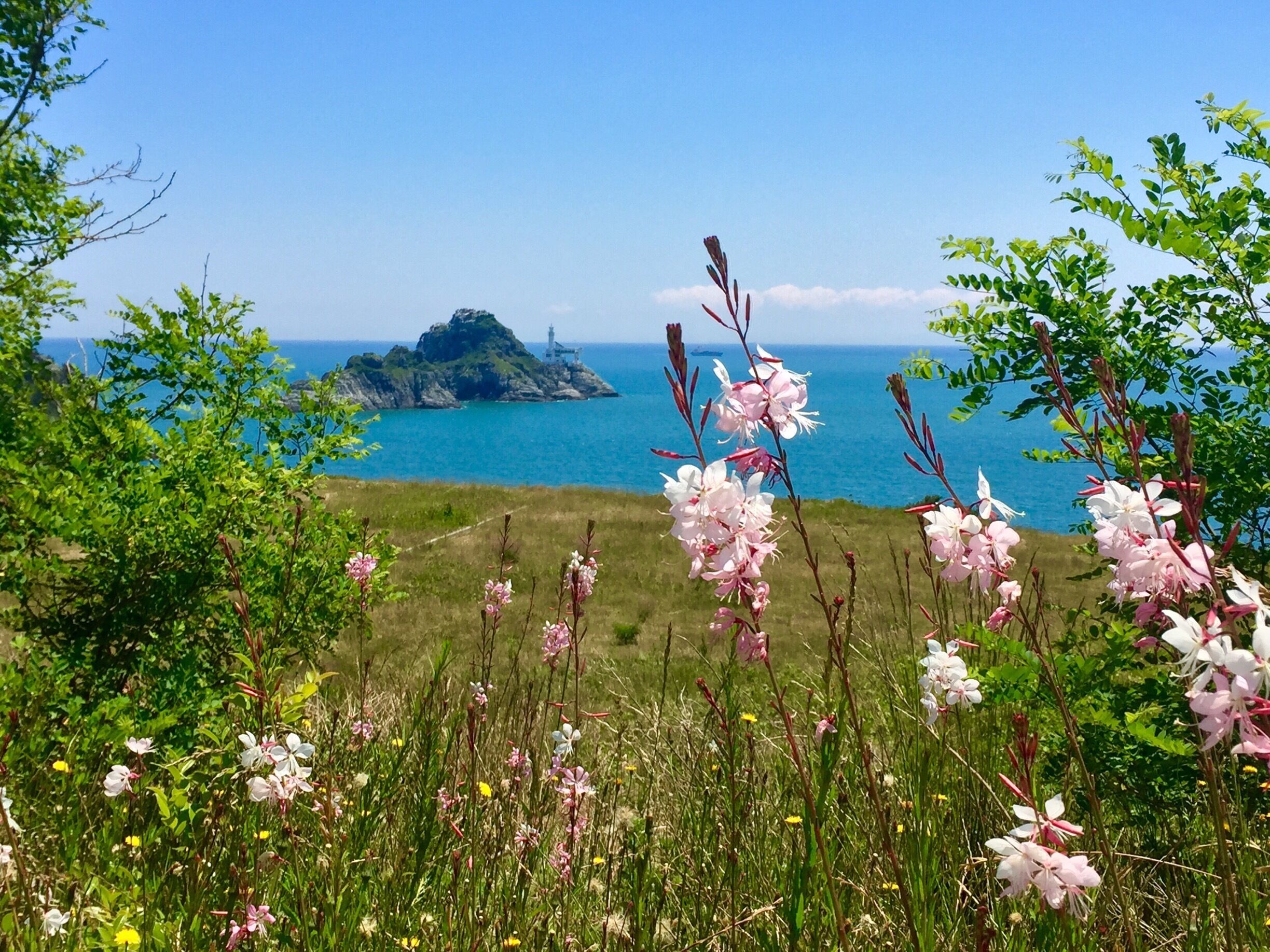 If you find yourself near Busan and love parks or hiking then Igidae Park and the Igidae coastal walk is a must! 