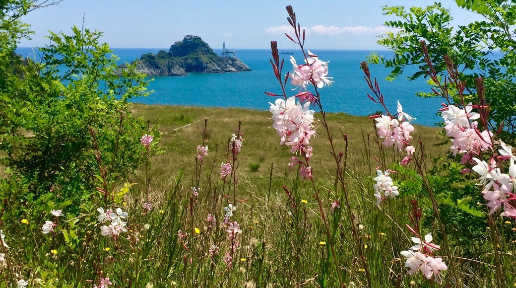 If you find yourself near Busan and love parks or hiking then Igidae Park and the Igidae coastal walk is a must!