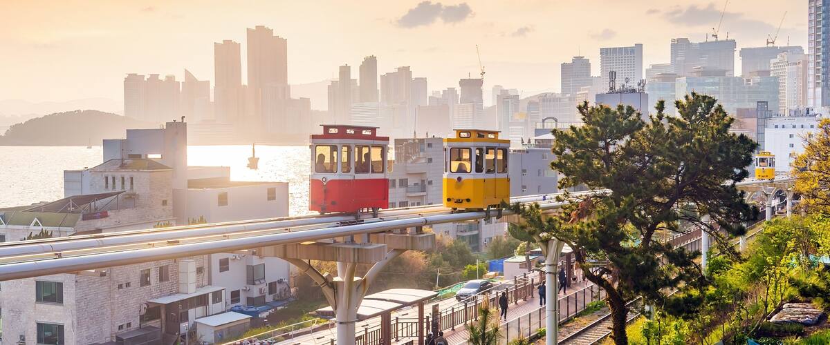 A cityscape with a river, modern buildings, and a tram in the foreground.